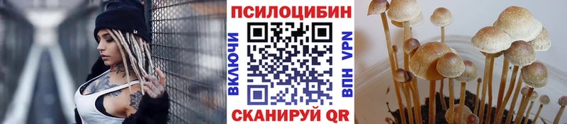 где найти   MEGA tor  Галлюциногенные грибы ЛСД  Балей 